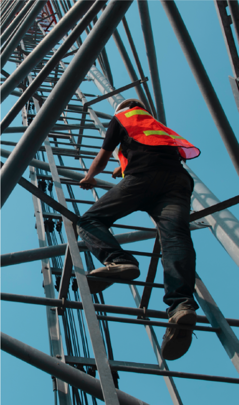 Sentrex | Your Network Development Partner